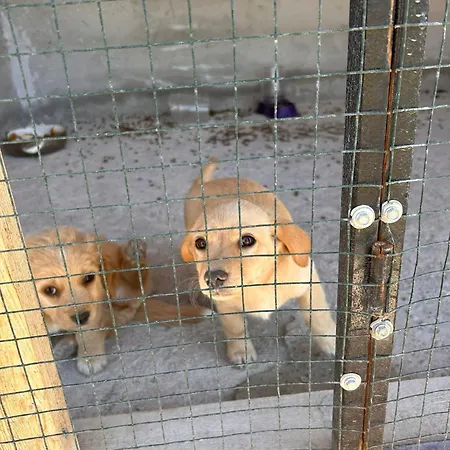 Valley House Villa *